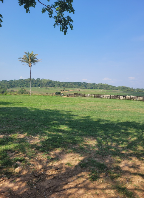Fazenda Rio da Mata - Área rural em Alta floresta, Terreno para produção agrícola em Alta Floresta - Mato Grosso